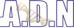 Connexion ADN